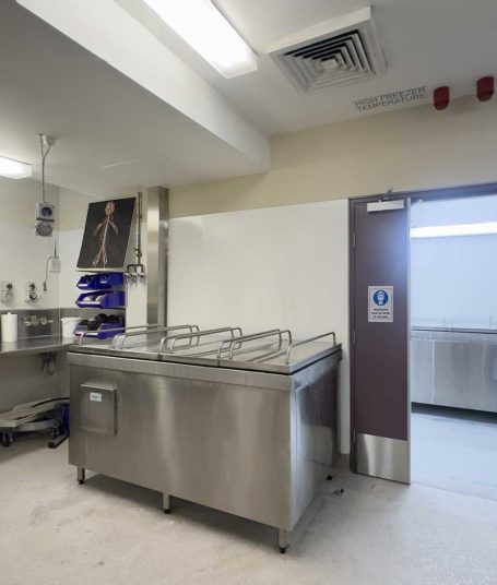 Plastination Lab