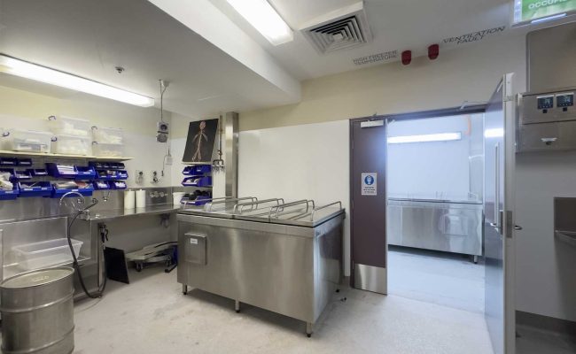 2505_Hatz_Medical-Plastination-Lab_Overall